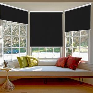 SHADEMOON Cordless Blackout Window Roller Shades,(Black, Width 31", Height 79") Reverse Roll 1 Pack