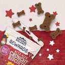 Natural Balance Limited Ingredient Rewards Crunchy Biscuits, Bite-Size Grain-Free Dog Treats for Small-Breed Adult Dogs, Made with Real Bison, 8 Ounce (Pack of 1) (EXP 10/30/25)