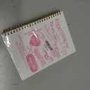 2 x Coquette Pink Bow Christian Spiral Notebook, Inspirational Bible Verse Journal Notebooks for Note Taking, Preppy Girly Pink Scripture Prayer Journal for Woman, Hardcover Notebook 5.5x8.3