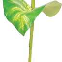 Exo Terra Dripper Plant, Small