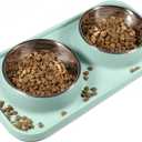 Cat Food Bowls, Cat Bowls Non-Skid and Non-Spill Silicone Pads with PP Stand, Removable Stainless Steel Food and Water Dishes for Cats, Small Size Dogs (Aquamarine)
