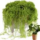 USMOLA Fake Moss for Potted Plants Indoor, 7OZ Green Moss for Crafts - Realistic Faux Grass Decor for DIY, Terrariums, Fairy Gardens & Table Centerpieces Home Decor (Light Green)