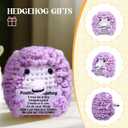 2 x BUNYISCN Funny Positive Crochet Hedgehog Birthday Gifts for Women Men, Emotional Inspirational Crochet Decor Gifts Christmas Stuff Gifts for Her Him Daughter Sister Friend
