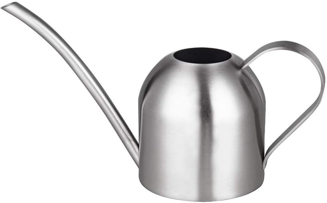 IMEEA Indoor Watering Can for House Plants Stainless Steel Watering Can Metal with Long Spout (33oz/1L)