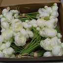 Meldel 32Pcs Ranunculus Artificial Flowers, Ivory White Fake Peonies, Real Touch Silk Faux Mini Ranunculus Filler Flowers Bulk for DIY Wedding Bouquet, Vase Centerpieces, Bridal Shower Decor
