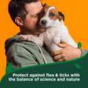 Vets Best Flea and Tick Shampoo for Dogs  Advanced Strength Plant-Based Formula for Flea Treatment and Prevention, Natural Flea Bath and Tick Control, Vet Recommended, Made in USA, 12 oz