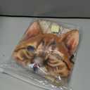 Valpeak 3D Cat Mask, Cat Headband, and Funny Cat Socks with cat Tails (Orange Cat Three-piece)