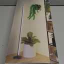 Grow Lights for Indoor Plants with Timer, 42W 192 LEDs Full Spectrum Vertical Grow Light 65 Inch Standing Grow Lights with Foot Switch,3 Light Modes 10-Level Dimmable Wide Coverage