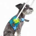 Blind Dog Halo Harness, Adjustable Protective Safety Ring,Navigation Aid for Visually Impaired Pets (XS for 15-19In)