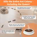 48 PCS Ant Killer Gel Bait Stations, Extra Strengthen Ant Bait Traps, Long-Lasting Effective Pest Gel for Carpenter Ants and Other Common Household Ants, No Mess Easy Use, Safe for Pets and Kids