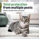 Amazon Basics Preventative Flea and Tick Topical Treatment for Cats (Over 1.5 lbs), Fast Acting and Long Lasting, 6 Count