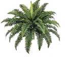 FOREST PRINCE 35" Ferns Artificial Bush Plants Large, Artificial Boston Ferns with 39 Fronds for Outdoors Home Decor