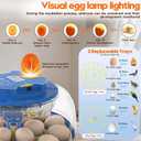Incubator for Hatching Eggs-18 Egg Incubator with Automatic Egg Turning and Humidity Control 360View Incubadora De Huevos,Ducks,Goose,Pigeon,Quail Incubator for Home,Farm,Lab,Science Classroom
