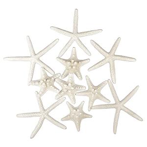 Jangostor 12 PCS Starfish 2-6 Inch Mixed Starfish Natural Seashells Starfish Star Fish Shells Decorations Perfect for Wedding Decor Beach Theme Party, Home Decorations, DIY Crafts, Fish Tank