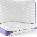 HOMELAB Adjustable Shredded Memory Foam Pillows Queen Size, Cooling Bed Pillows for Sleeping with Removable Cover, Medium Pillows for Side Stomach & Back Sleepers, 2 Packs 20"x28"