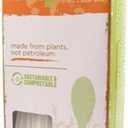 World Centric Cornstarch Compostable Spoon, 24 Count (Pack of 3)