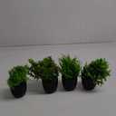 Der Rose Fake Plants 4 Packs Artificial Plants Small Faux Plants Black Bathroom Accessories for Bathroom Home Office Desk Decor Indoor