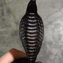 VIE Naturals Resin Cobra Ornament, One Size