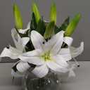 Artificial Flowers Tiger Lily Real Touch with Vase Easter Lily White Lilies Silk Faux Flowers Arrangements in Glass Vase with Faux Water Easter Decor Fake Floral Bulk Bouquet for Office Home Decor