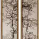 Framed Vintage Tree Sketch Wall Art,Tall Narrow Sepia Antique Forest Prints, 24"Lx8"W