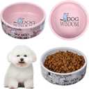 2 Pcs 5 Inch Ceramic Dog Bowls Dishes for Small Dogs Cute Cartoon Pattern Puppy Cat Bowls Heavy Food Water Dishes for Pets Feeding Travel, Dishwasher Safe Microwave Safe(Pink and Gray)