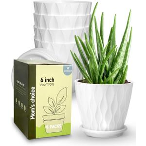 6 Inch Indoor Planter Pots with Drainage Hole and Tray Saucer,Flower Pots for Indoor Outdoor Garden Plants and Flowers, Multicolor, 5 Packs (White)