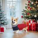 Geyecete Corgi Sweater for Dogs Corgi Clothes,Miniature Corgi Coat,Corgi Jacket for Dogs Warm Waterproof Windproof,High Neckine String Holes-Red-L