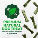 Greenies Veterinarian-Recommended Adult Natural Dental Dog Treats Petite Size, Original Flavor, 36 oz. Pack, 60 Count (EXP 02/18/27)