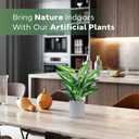Der Rose JC nateva 16" Small Fake Plants Artificial Tropical Faux Plants Indoor for Office Desk Shelf Bathroom Home Decor