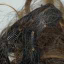 14 Inch Brown Hair Extensions - Wavy Synthetic Clip in Hair Extensions For Women And Girls (Color:Chestnut Brown with Dark Blonde Highlights)