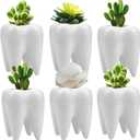 Hedume 6 Pack Tooth Shaped Planter Pots, Small Cute Flower Plant Containers, Mini Ceramic Succulent Planter Pots, Creative Pen Pencil Holder for Desk Decor