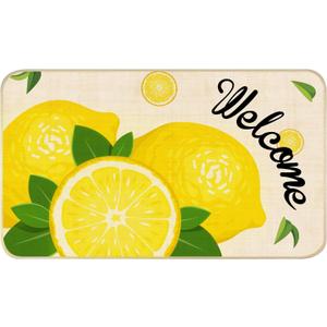 Nialnant Lemon Doormat Outdoor Entrance, Non Slip Rubber Backing Outdoor Mats for Front Door, Welcome Mat Washable Indoor Entrance Rug Lemon Decor 17"x29"