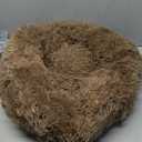 Modern Soft Plush Round Pet Bed for Cats or Small Dogs, Mini Medium Sized Dog Cat Bed Self Warming Autumn Winter Indoor Snooze Sleeping Cozy Kitty Teddy Kennel (20'' D x 8'' H, Coffee)