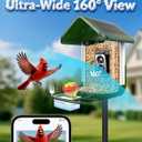 Bird Feeder with Camera Solar Powered - Smart Bird Feeder Camera 2K HD Live Stream, 5MP Photos, AI Identification for Backyard, 2.4Lb Large Capacity, Gifts for Mom Dad, Green White