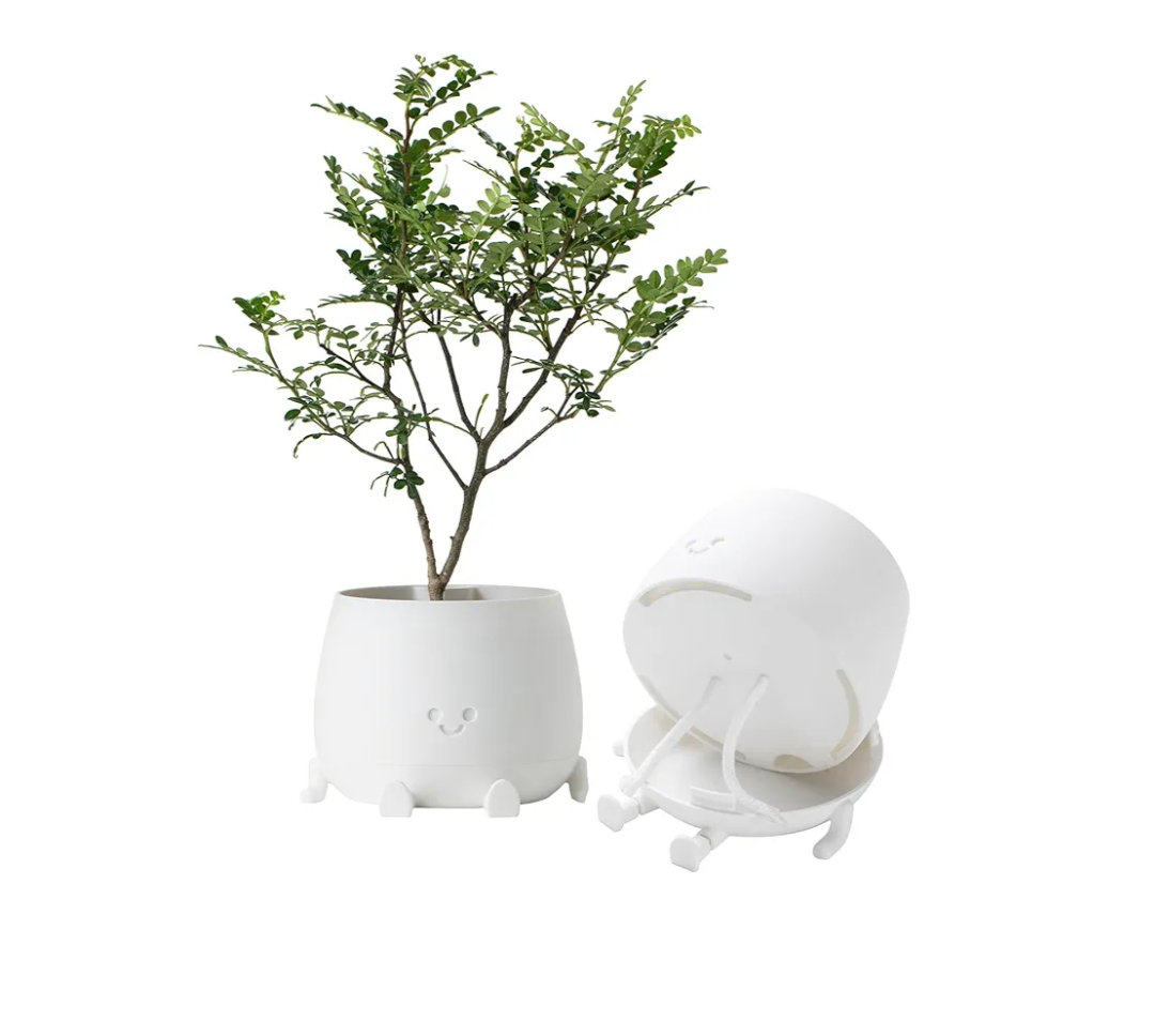 TOPOLA Happy Face Planter, 5.2 Inches Plastic Plant Pot, Self Watering Plant Pot with Drainage Holes for Indoor Outdoor, Succulent Pot, Funny Flower Pot, White