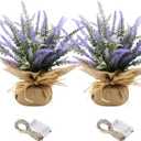 Spring Potted Lavender Bouquet Decor, 2 Pack Artificial Lavender Plant with Rustic Pots, for Table, Farmhouse, Wedding Decor, Summer Decoration, for Her