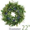HomeKaren Wreaths for Front Door 22", Door Spring Wreath with Eucalyptus Olive Boxwood Leaves, Greenery Wreath Door Decoration for Spring Summer All Season Home and Outdoor