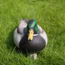 RioRand Realistic Plastic Duck Hunting Decoy Garden Decor