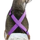 Paw Inspired Dog Diaper Suspenders with Velcro Fasteners | Stretchy Adjustable Suspenders for Female and Male Disposable and Washable Diapers | Fits Small, Medium and Large Size Pets (XS/S, Purple)