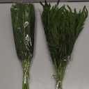 12 Pcs Realistic Christmas Pine Branches Artificial Lifelike Green Pine Stem - Real Touch for Vase DIY Crafts Flower Arrangement Home Indoor Christmas Decor(18 Inch)