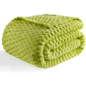 Bnuitland Fruit Green Flannel Throw Blanket (50X70 inches), 300 GSM Fleece Cozy Warm Soft Home Decor Lightweight Bed Sofa Blanket for Adults, Suitable for All Seasons.