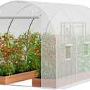 VEVOR Walk-in Tunnel Greenhouse, 9.6x6.4x6.2 ft Hoop House Greenhouse Tunnel, Plant Hot House with Galvanized Steel Frame, White PE Cover, Roll-up Zipper Door and 6 Windows for Outdoor