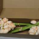 Floroom Ranunculus Artificial Flowers 18 Pcs Champagne Faux Silk Mini Ranunculus Bulk Fake Wedding Filler Flowers for DIY Cream Bouquets, Centerpieces, Bridal Shower Decorations & Arrangements