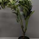 YOLEO Artificial Olive Tree 2FT Tall Faux Silk Plant for Home Office Decor Indoor Small Fake Olive Tree with Lifelike Olive Fruits