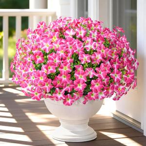Yastouay Artificial Flowers for Outdoors, 12 Bundles Fake Outdoor Flowers, UV Resistant Artificial Petunias Fake Flowers, Mixed Rose Red Realistic Fake Plants for Porch Patio Garden Decor