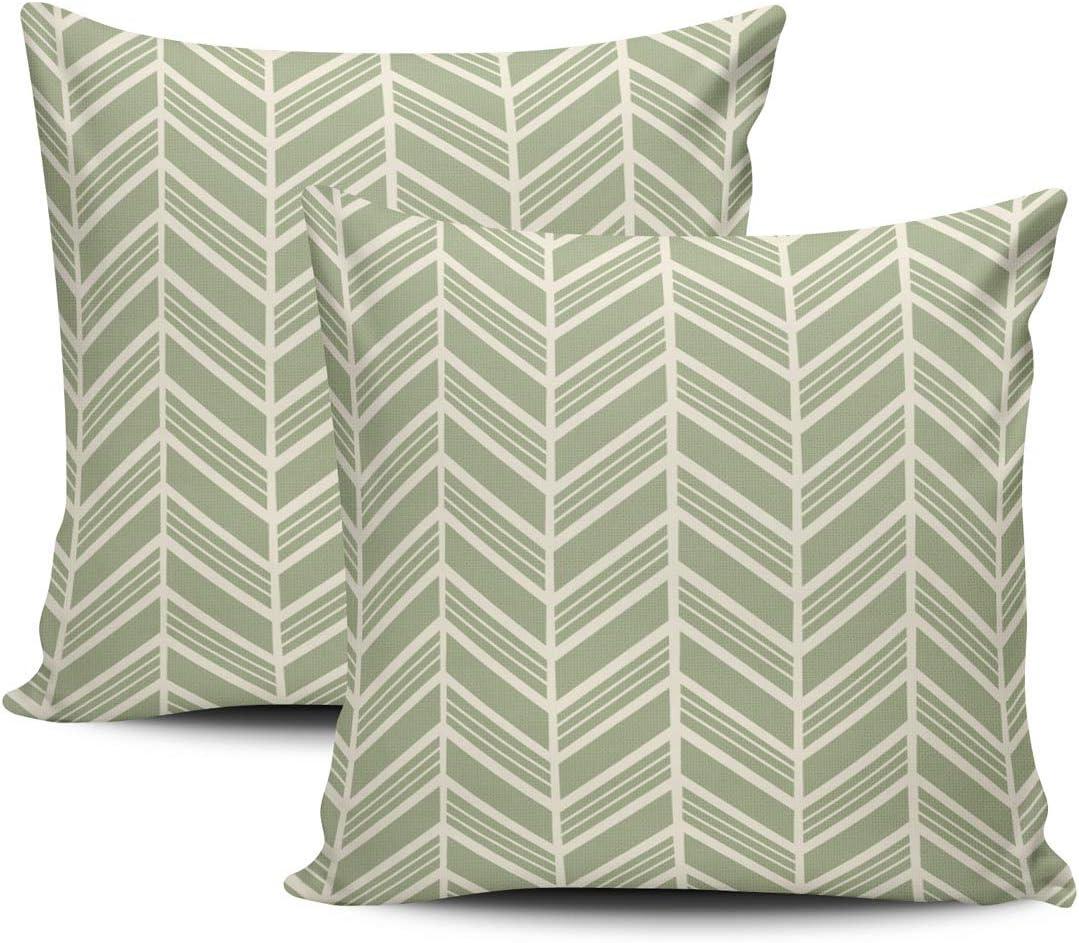 WEINIYA Sofa Decoration Pillowcases 2 Pack Green and White Herringbone Sage Square Cushion Case Throw Pillow Covers 20x20 Inch Double Sides Print