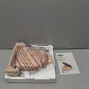 bella Flip-n-Store Waffle Maker with EverGood Ceramic Nonstick Coating, Fits-anywhere Kitchenware, Power Indicator Light, Cool Touch Handle & Cord Wrap, 7 Wide & 1" Deep Plates, 1000 Watt, Blossom