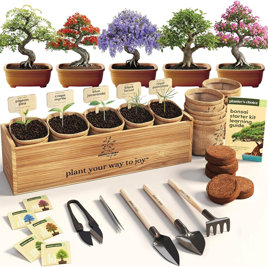 Planter's Choice Bonsai Tree Starter Kit - Unique Gifts for Women, Men - Birthday Gifts for Adults - Indoor Live House Plants - DIY Crafts for Adults Craft Kits - Hobby Gift for Gardening Lovers