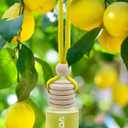 Ikeda Car Air Freshener: Hanging Car Smell Air Freshener | 10ml Round Hanging Car Decoration | Long Lasting Fragrance | For Auto Home | 1pcs (Lemon(Circular))