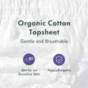 Rael Disposable Underwear for Women, Organic Cotton Cover - Postpartum Essentials, Leak Locker, Unscented, Maximum Coverage (Size L-XL, 20 Count)